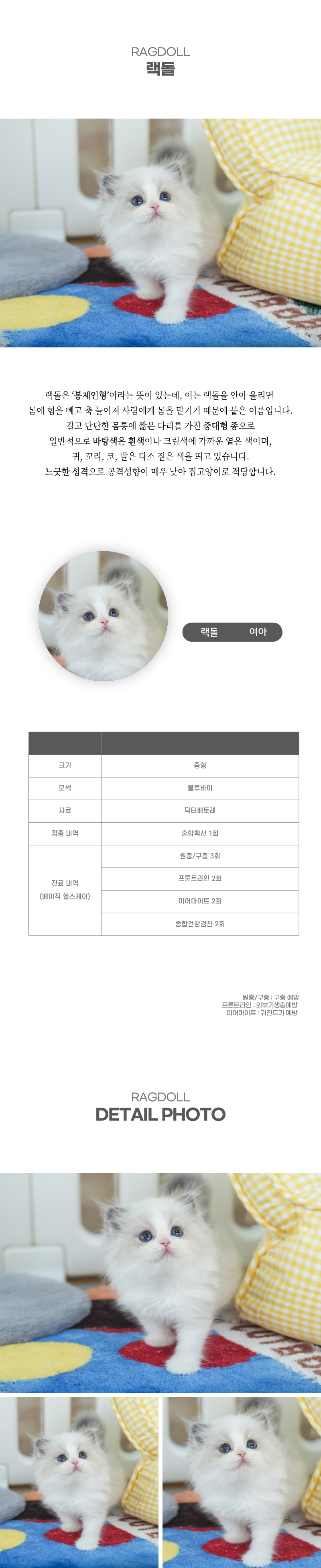 랙돌_상세이미지_2